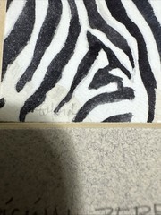 J Royal Telford 10×13 Original Zebra – Original Watercolor