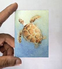 ACEO Original Watercolor OOAK Sea Turtle Ocean Marine Life Coastal Miniature Art