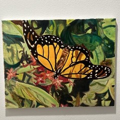 Original Oil Painting Painted Lady Butterfly 18″ x 14″ x 1 1/8″