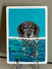 ACEO Original Acrylic Painting by AnneliseK, Dog Swimming, Labrador, 2.5 X 3.5in