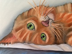 Original oil painting 11 x 14 inches beautiful colorful orange tabby cat