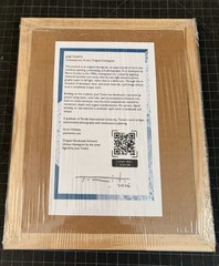 Tonito Original painting.Matted/Framed.Organic surrealism.War Shield.Unique art