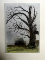 Tobias Nicklitzsch *1982 Berlin Pastel View Of A Tree In Winter