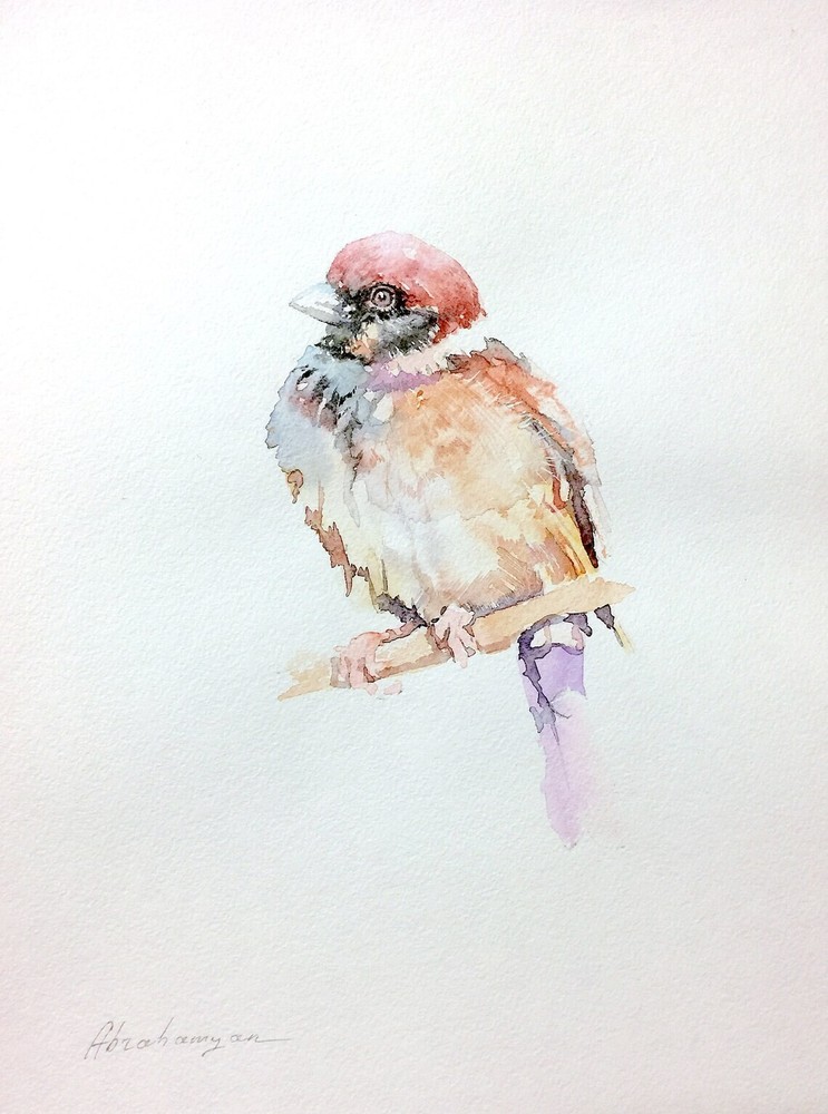 House Sparrow, Birds, Watercolor artwork, Handmade, Original painting on paper