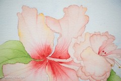 Beautiful Vintage Floral Painting of Tropical Soft Pink Hibiscus, Signed & Fine!