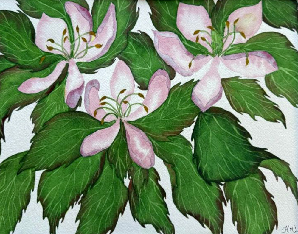 PAINTING WATERCOLOR 11X14 & MAT 16X20 FLOWER CHERRY BLOSSOMS PINK ORIGINAL ART