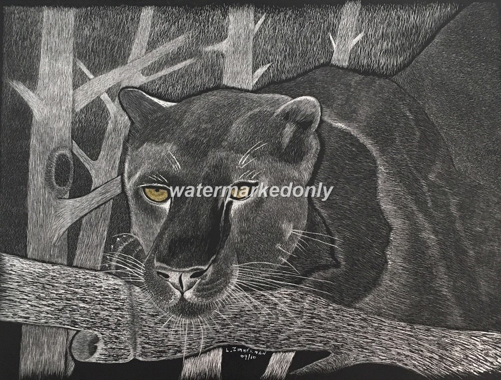 A Vigil Black Panther on a Tree- Regular Board 9″x12″“ Scratch Signed