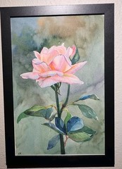 Original Painting Artwork Watercolor Rose🌹Framed OOAK 9 X 13 inches B12
