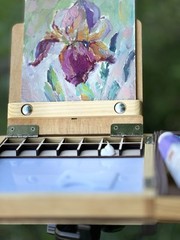 Irises Flowers original Oil painting cardboard 20x20cm, Ukraine painting flowers