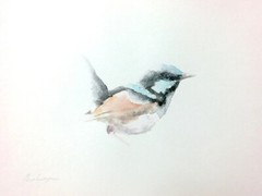 Fairy-wren, Watercolor artwork, Handmade, Original painting on paper