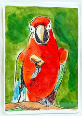 Miniature Fine Art Study • Watercolor on Paper • Signed Original