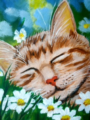 Acrylic painting „Sleeping ginger cat“ daisies grass unique piece new hand