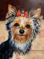 12” X 16” Original Framed Oil Painting Of Yorkshire Terrier “Yorkie”