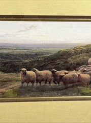 Large Framed George Shalders Signed Print Sheep In Field Landscape 40”x21.5” VTG