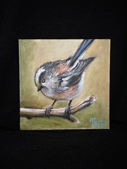 Oil Painting Little Bird 15x15cm Gift Bird On Brunch Wall Art Fine Art