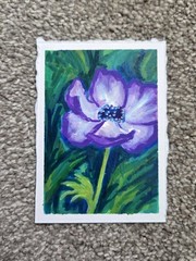 Original ACEO Birth Month Flower August Purple Poppy Drawing Art 2.5″ x 3.5″
