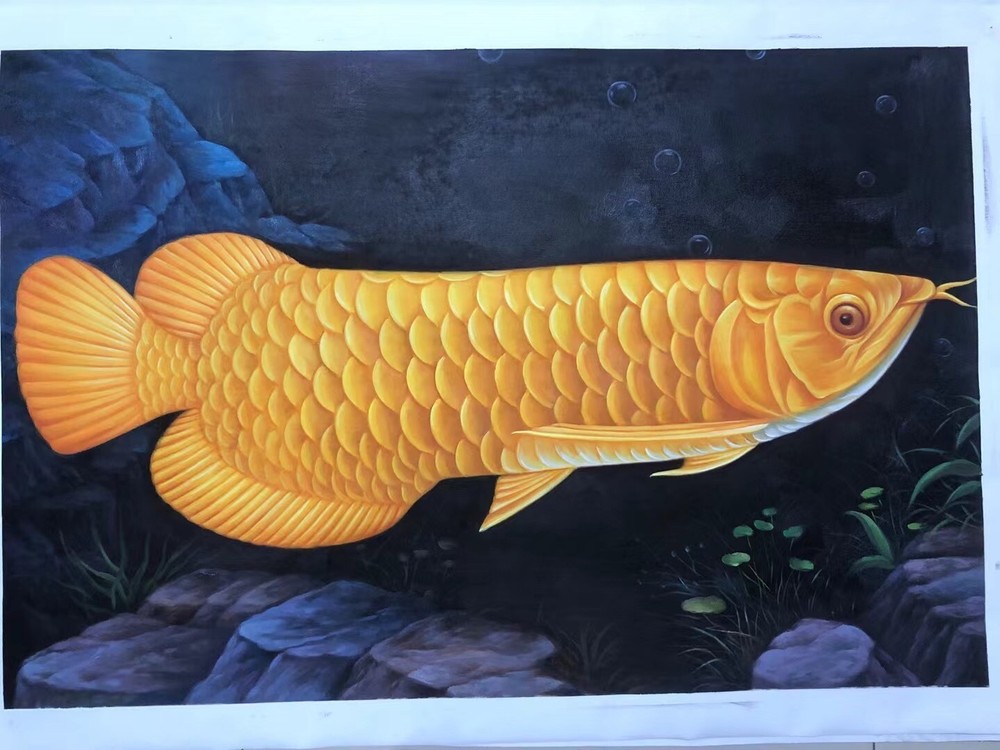 Handpainted Oil Paintings Chinese Fengshui lucky Golden Koi carp No Framed