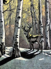 Velvet Treasures Complete Black Paint By Number Deer Buck Forest Winter Framed