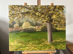 Original Art Landscape Oil Painting Autumn Realism Contemporary Gina Lemelin