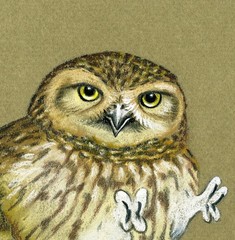Deborah Bell Jarratt (PA,20/21C) pastel painting 154375