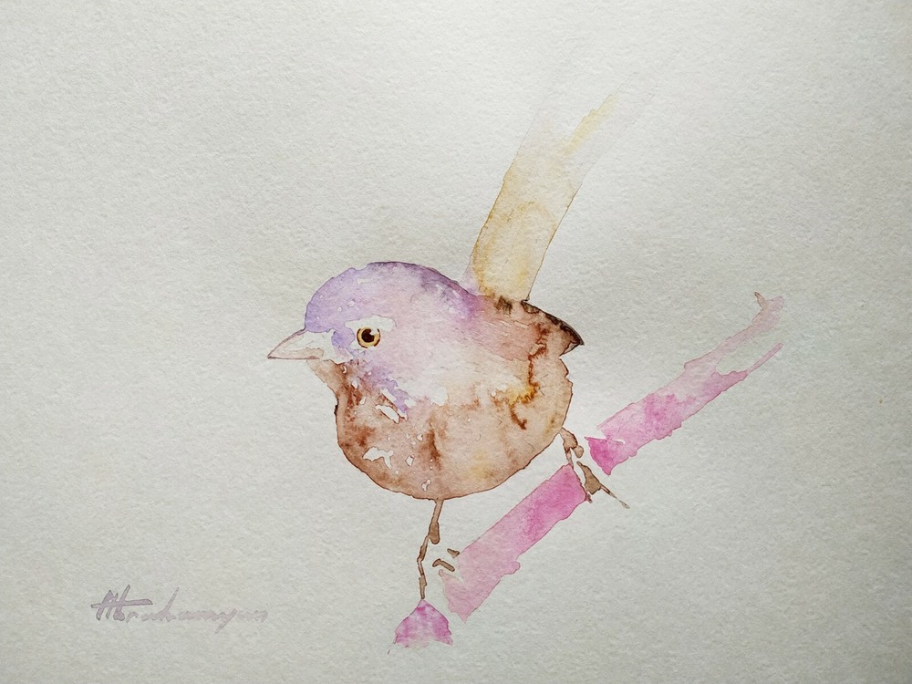 Fairy Wren, Birds, Watercolor artwork, Handmade, Original painting on paper
