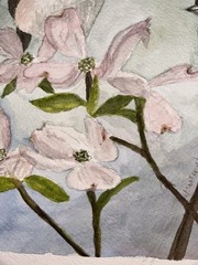 Original Pink Dogwood FLOWERS & Chickadee BIRDS Watercolor Signed 8.25”T 11.5”W