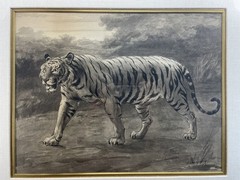 VAN MUYDEN 19th C Antique Ink Painting Illustration AFRICAN TIGER￼ Paris Museum