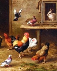 Wonderful Oil painting lovely and nice animal birds cock hens pigeon rabbit