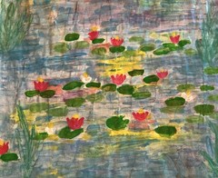 Water Lillie’s In Bloom