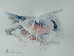 Bullfinch, Birds, Watercolor artwork, Handmade, Original painting on paper