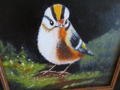 Stunning Wild Bird PAINTING on Canvas Amazing Colors Painting NOT a Print #3