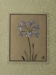 Signed Yan Inlow Original Needlepoint Textile Art Lilly /Scilla / Chionodoxa