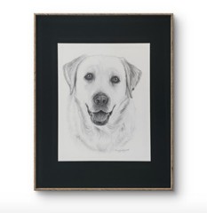 Original 14 x 11 Matted Labrador Dog Graphite Art Portrait Drawing