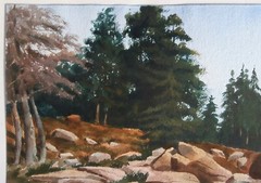 BUCKS COUNTY Pennsylvania PAFA Artist MAINE COAST W/C Painting ~ RONALD E. HOWER