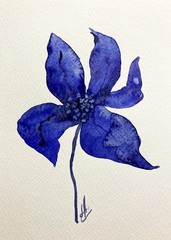Botanical Art Lily Flower Watercolor Original Small