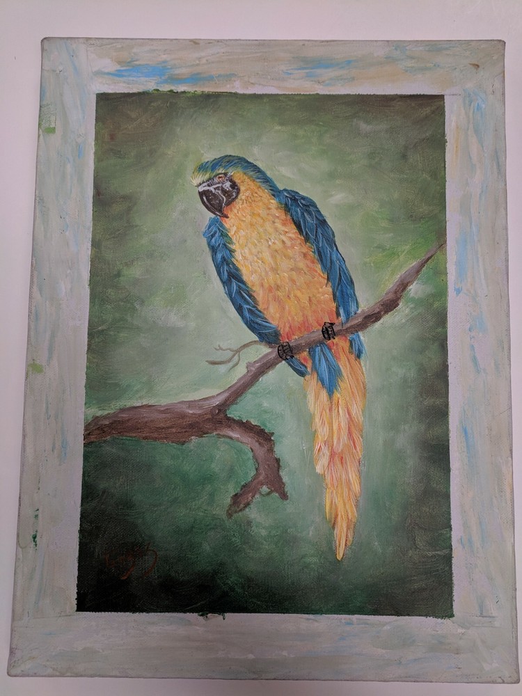 Parrot Acrylic on Canvas Blue Orange Brown Branch Green Background 12×16 Gomez