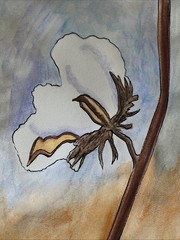 LOUISIANA COTTON BOLL Impressionist Painting K C Jones Farmhouse Southern Art