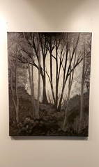 16″×20″×.5″ Glazed Acrylic Forest Landscape on Canvas