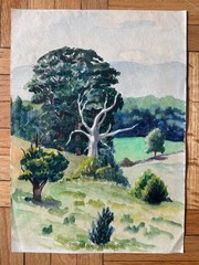 Vintage 1950s Watercolor Painting Nature Waterfall Trees Landscape 1950s 10 x 14