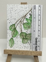 ACEO Artist Card Hand Painted Original Acrylic 2.5 in x 3.5 “ Eucalyptus Stem”