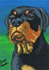 ACEO ATC Original Rottweiler Rotti Pet Dog Art Painting -Carla Smale