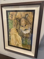 Lion Watercolor Painting Framed and Matted Signed by Artist