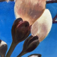 Beautiful! Original Oil on Canvas Painting Magnolia Tree Floral Flowers! Framed!