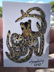 ACEO, PRINT Of My Watercolor Art, Day Octopus, He’e, Leho, Tiger Cowrie Shell