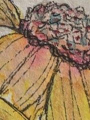 ACEO Original Watercolor & Ink Yellow Coneflowers Floral Miniature Art 2.5 x 3.5
