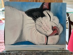 Original oil painting signed 11 x 14 in cute white and black cat sleeping