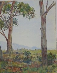 John Flexmore Original Watercolour “A Stand of Eucalypts”. Unframed