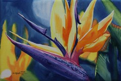 Bird of Paradise, Flower, Original Watercolor Painting, Signed, Art, 22×15 inch