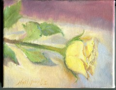Yellow Rose 8×10 in. Oil on stretched canvas by Hall Groat II