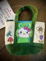 Hand Painted Trader Joe’s Green Micro Tote Bag „Frog Kitty“ Canvas